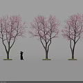 Delicious Cherry Blossom Themed Desserts Under Pink Flower Trees With Silhouette Person