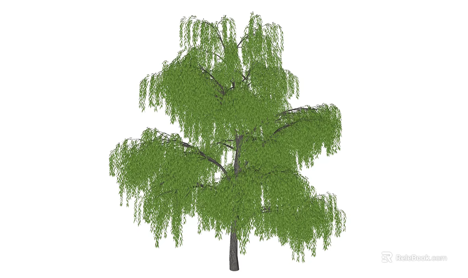 Tall Weeping Willow Tree With Lush Green Leaves And Hanging Branches 3d model 