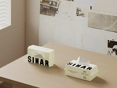 SINAR White Tissue Boxes Placed On Wooden Table In Room With Simple Wall Decor 3d model