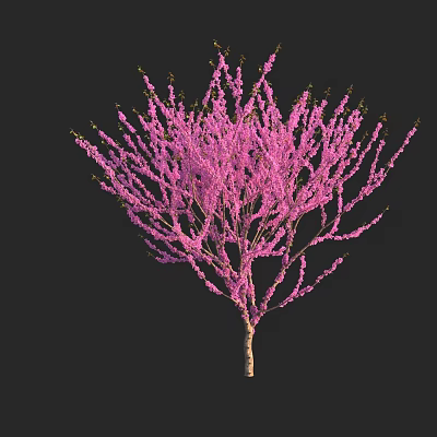 Pink Blossom Shaped Decorative Light Tree For Indoor Festive Decoration With Black Background 3d model