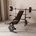 Modern Indoor Home Gym Sports Equipment Including Barbell Weight Bench Curtain And Plant