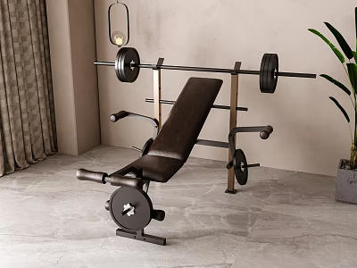 Modern Indoor Home Gym Sports Equipment Including Barbell Weight Bench Curtain And Plant 3d model