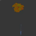 Six Deciduous Trees With Golden Yellow Autumn Foliage On White Background