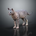 Gray Tabby Cat Standing On Dark Reflective Surface With Alert Expression 3d model