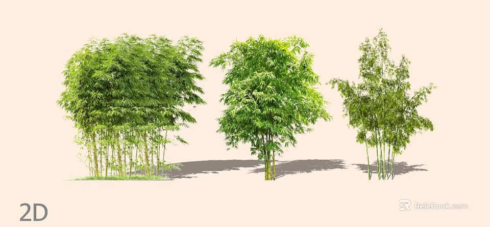 Various Bamboo Plants With Lush Green Foliage And Tall Stems In Garden 3d model 