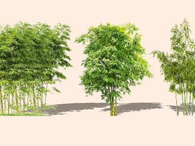 Various Bamboo Plants With Lush Green Foliage And Tall Stems In Garden 3d model