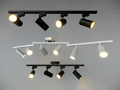 Track Mounted Black and White Downlights and Spotlights with Multiple Illuminating Heads 3d model