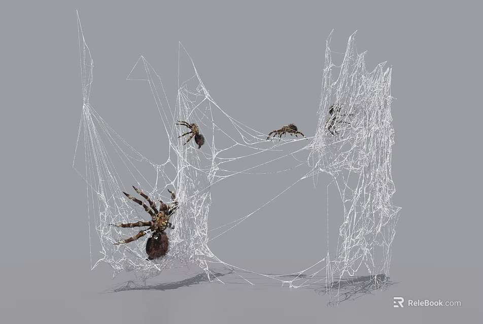 Reptile Lizard Crawling On Intricate Spider Web In Natural Habitat 3d model 