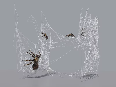 Reptile Lizard Crawling On Intricate Spider Web In Natural Habitat 3d model