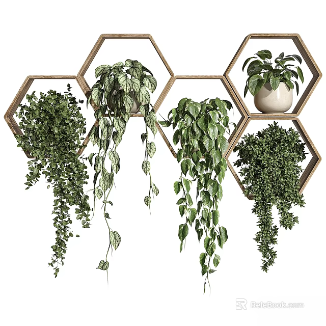 Potted Plants in Hexagonal Wooden Frames with Trailing Green Vines and White Pot 3d model 