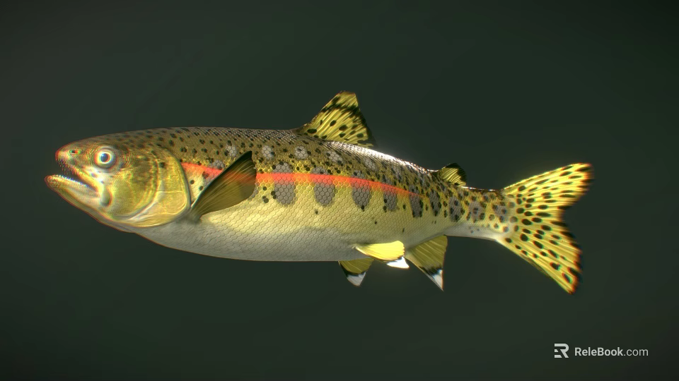 Vibrant Rainbow Trout Fish Showing Colorful Spots And Bright Red Stripes 3d model 