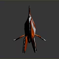 Vibrant Red and White Clownfish with Black Edged Fins on Dark Background Showing Reflection