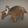 Realistic 3D Triceratops Dinosaur Model with Colorful Frill Brown Scaly Body and Long Horns