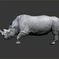 Gray Rhinoceros 3D Model in Standing Pose With Smooth Texture and Reflective Surface 3d model
