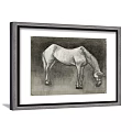 Detailed Horse Animal Painting In Sketch Style With Gray Framed Artwork For Home Decor