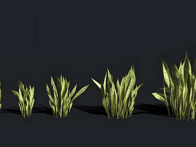 Green Plants With Various Leaf Shapes Arranged On Dark Background For Decoration 3d model