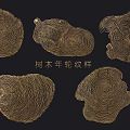 Unique Decorative Pendants Featuring Natural Tree Ring Patterns And Wooden Texture 3d model
