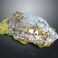 Natural Wood Stone With Moss Covered Textured Gray Green Surface For Garden Decor