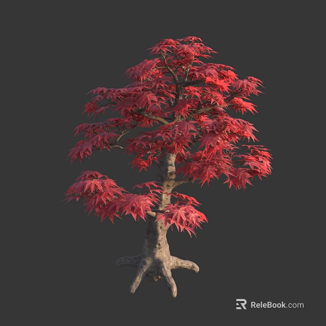 Beautiful Ornamental Arbor Featuring Vibrant Red Leaves And Unique Root Structure 3d model 
