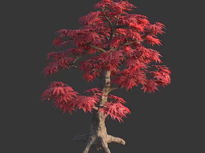 Beautiful Ornamental Arbor Featuring Vibrant Red Leaves And Unique Root Structure 3d model