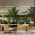 Modern Boba Milk Tea Shop With Lush Green Plants Cozy Seating And Wooden Counter