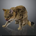 Orange Tabby Cat With Green Eyes And Pink Tongue On Dark Shiny Surface