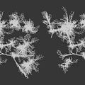 Botanical Plants with Green Stems Small White Flowers and Dried Brown Branches Against Gray Background