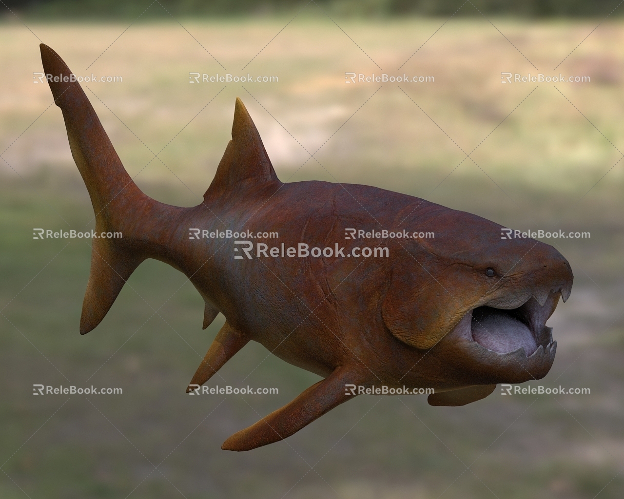 Dunn's fish shell fish 3d model