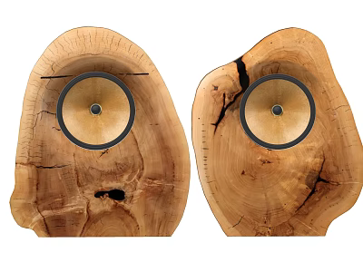 Natural Wood Grain Speakers With Unique Log Shape And High Quality Audio 3d model