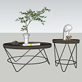 Modern Round Coffee Table Set with Geometric Metal Frame Green Plant and Books