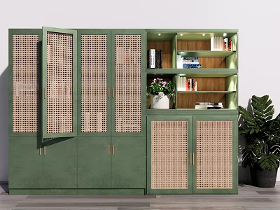 Modern Green Bookcase With Rattan Doors Open Shelves Books Decorations And Potted Plant 3d model