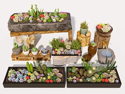 Bonsai and Potted Plants with Cacti Succulents in Stone Wooden Clay Containers and Decorative Arrangements 3d model