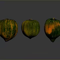 Three Fresh Ripe Green And Orange Pumpkins With Striped Skin On Gray Background