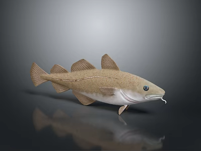 3D Modeled Fish With Light Brown Body White Underbelly Fins Eyes Whiskers Gray Background Reflection 3d model