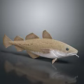 3D Modeled Fish With Light Brown Body White Underbelly Fins Eyes Whiskers Gray Background Reflection