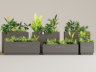 Modern Flower Box 3d model