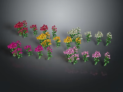 Colorful Flower Plants With Red Yellow White Pink Purple Blooms And Green Leaves Neatly Arranged 3d model