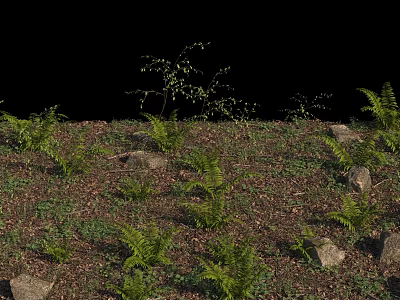 Lush Green Ferns And Small Shrubs On Natural Grassland With Scattered Stones 3d model