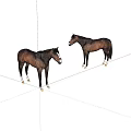 Two Brown Horses Facing Each Other On White Background With White Hooves 3d model