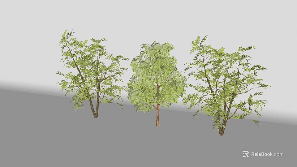 Three Arbor Trees With Green Leaves And Trunks On Gray Background 3d model