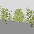 Three Arbor Trees With Green Leaves And Trunks On Gray Background 3d model