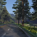 Scenic Winding Forest Road Through Tall Pine Trees And Green Hills Under Bright Blue Sky