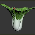 Red Ladybug Crawling On Green Leafy Cabbage With Fresh Vibrant Leaves