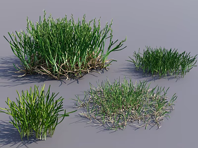 Various Green Grass Clumps Displaying Different Growth Forms And Natural Textures 3d model
