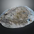 Natural Mineral Rock Surface Featuring Irregular Textures Brown Gray Spots And Small Particles