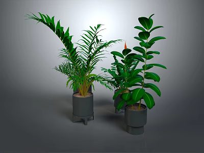 Various Green Indoor Plants In Modern Gray Pots For Home Decoration 3d model