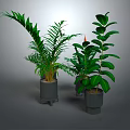 Various Green Indoor Plants In Modern Gray Pots For Home Decoration