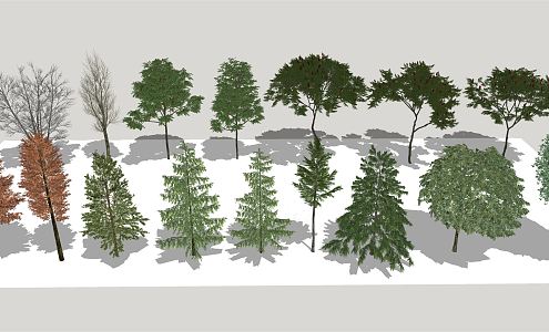 Modern Tree Landscape Tree Metasequoia 3d model