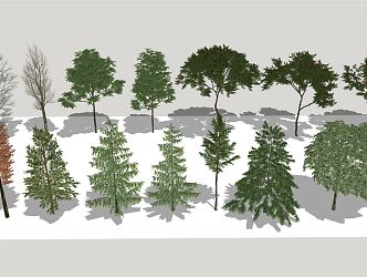 Modern Tree Landscape Tree Metasequoia 3d model