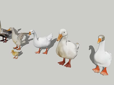 Flying Animals White and Gray Ducks with Adult and Baby Sizes in Natural Habitat 3d model